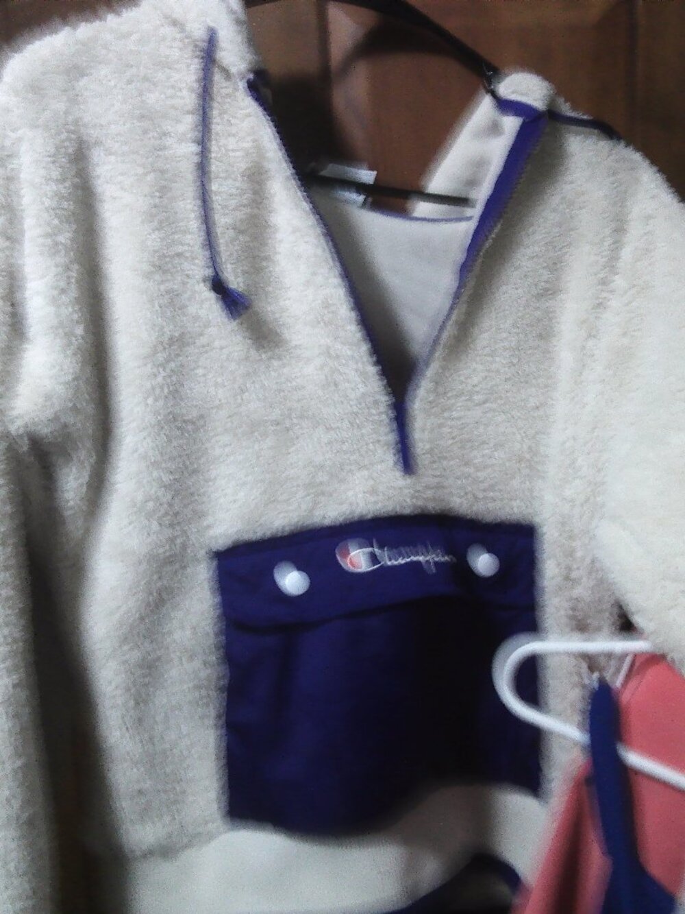 Champion Fleece Sweatshirt/hoodie